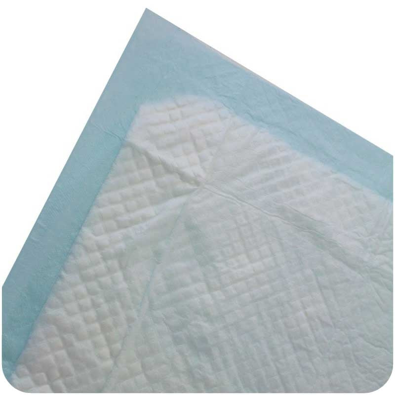 Empapador Desechable (60x90cm.) -20ud.- — Bienestar Senior