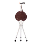 Baston Silla Regulable en Altura