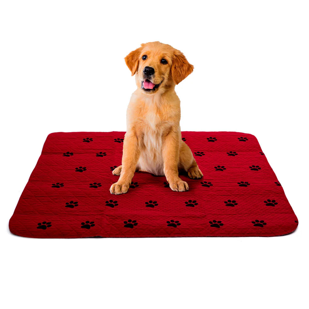 Empapador Absorbente Reutilizable para Mascotas